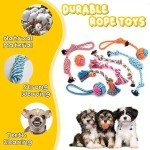 Dog Chew Toy Set Manufacturer - Qbellpet Custom 18 Pack Teeth Cleaning Set