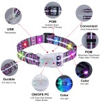 LED Dog Collar Supplier - Adjustable Night Walking Nylon Webbing Chargeable