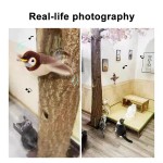 Bird Cat Toy Supplier - Lifelike Chirp Tweet Shape with Detachable Catnip