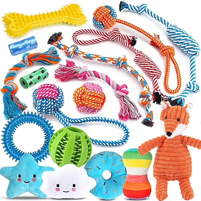 Dog Chew Toy Set Manufacturer - Qbellpet Custom 18 Pack Teeth Cleaning Set