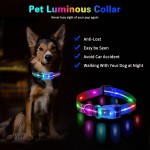 LED Dog Collar Supplier - Adjustable Night Walking Nylon Webbing Chargeable