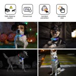 LED Dog Collar Supplier - Adjustable Night Walking Nylon Webbing Chargeable