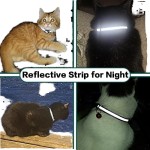Airtag Cat Collar Supplier - Multi Colors Reflective Safety Buckle Holder