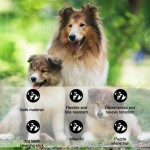 Coffee Wood Chew Toy Supplier - YOSHI Natural Molar Teething Stick Pet Toy