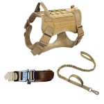 Dog Training Collar Supplier - Customize Logo Color Metal Buckle Tactical