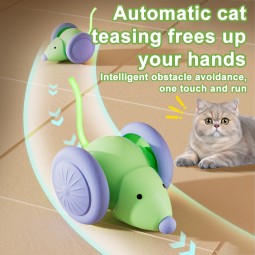 Electric Cat Toy Factory - 2025 Hot Sale Smart Interactive Speedy Rat Toy