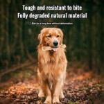 Coffee Wood Chew Toy Supplier - YOSHI Natural Molar Teething Stick Pet Toy