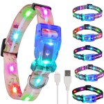 LED Dog Collar Supplier - Adjustable Night Walking Nylon Webbing Chargeable