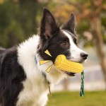 Corn Dog Chew Toy Manufacturer - Eco Friendly Durable Squeaky Dental Care