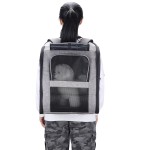 Pet Backpack Carrier Factory - Large Capacity Breathable Adjustable
