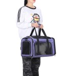 Pet Carrier Bag Manufacturer - Adjustable Foldable Large Capacity