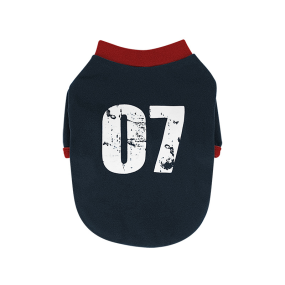 Pet Inner Wear Factory - Autumn Winter Retro American Two-Legged