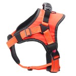 Pet Harness Manufacturer - Adjustable Padded Breathable Breakaway