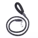 Pet Harness Manufacturer - Adjustable Padded Breathable Breakaway