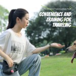Pet Training Waist Pack Factory - Outdoor Hiking Convenient Kit