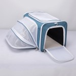 Cat Backpack Supplier - Portable Breathable Foldable Expandable