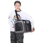 Pet Carrier Bag Manufacturer - Adjustable Foldable Large Capacity