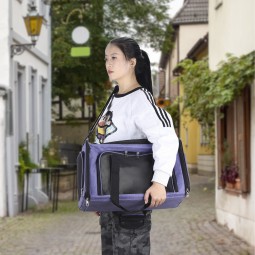 Pet Carrier Bag Factory - Wholesale Hot Sale Collapsible Backpack