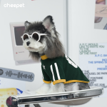 Pet Inner Wear Factory - Autumn Winter Retro American Two-Legged