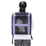 Pet Backpack Carrier Factory - Large Capacity Breathable Adjustable