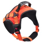 Pet Harness Manufacturer - Adjustable Padded Breathable Breakaway