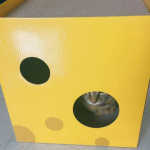 猫抓板生产厂家-奶酪盒爪板两层抓板玩具猫抓箱