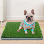 Pet Potty Tray Factory - Indoor Puppy Training Pee Pad Mat Grass