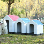 Dog Kennel Manufacturer - Durable Waterproof Outdoor Dog House