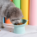 猫喂食器供应商-可爱斜颈保护喂食器猫碗宠物用品