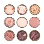 Wet Cat Food Manufacturer - High Quality Canned Treats Pet Food