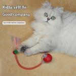Smart Cat Toy Manufacturer - Self-Entertainment Electric Ball with Glowing