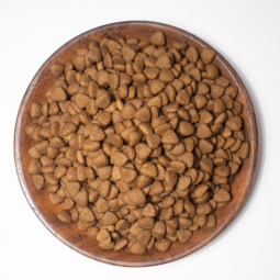 干狗粮生产厂家-OEM ODM天然蛋白成犬宠物食品