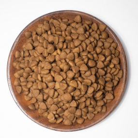 Dry Dog Food Manufacturer - OEM ODM Natural Protein Adult Pet Food