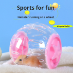 Hamster Ball Factory - Oversized Silent Running Eco-Friendly Plastic Rolling