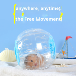 Hamster Ball Factory - Oversized Silent Running Eco-Friendly Plastic Rolling