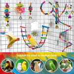 Bird Toys Manufacturer - Eco-Friendly Educational Wood Perch Cage Swing
