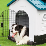 Dog Kennel Manufacturer - Durable Waterproof Outdoor Dog House