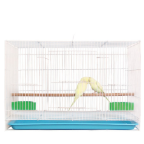 Bird Cage Manufacturer - Wholesale Metal Large Square Steel Canary
