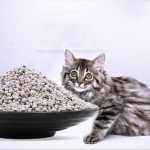 膨润土砂供应商-厂家热销环保强效除臭猫砂
