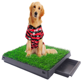 Pet Potty Tray Factory - Indoor Puppy Training Pee Pad Mat Grass