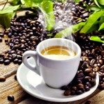 FN33R Non Dairy Creamer/coffee Creamer Factory Supplier Instant Soluble 33% Fat