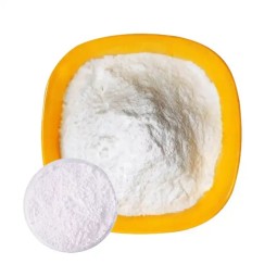 Collagen Protein Powder Manufacturer - Private Labels Peptide Drink