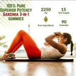 Garcinia Gummies Manufacturer - Cambogia Fat Burning Apple Cider