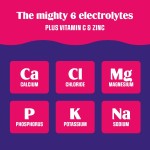 Electrolyte Powder Manufacturer - Vegan Preworkout Energy Drink Mix