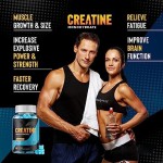 Creatine Gummies Manufacturer - 2024 New Factory Supply Immune
