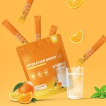 Electrolyte Drink Mix Manufacturer - Sugar Free Boost Endurance