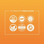 Multivitamin Gummies Manufacturer - Factory Wholesales Gummie Bear