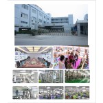 Amino Acids Powder Manufacturer - Wholesaler OEM Berry Workout Recovery