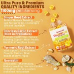 Digestive Support Gummies Manufacturer - Sugar Free Ginger Garlic