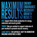 L Arginine Capsules Manufacturer - OEM Hot Selling Energy Endurance